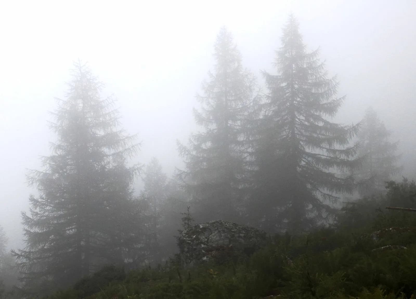 Tour del Monte Bianco — Tappa 6: Champex-Lac → Trient